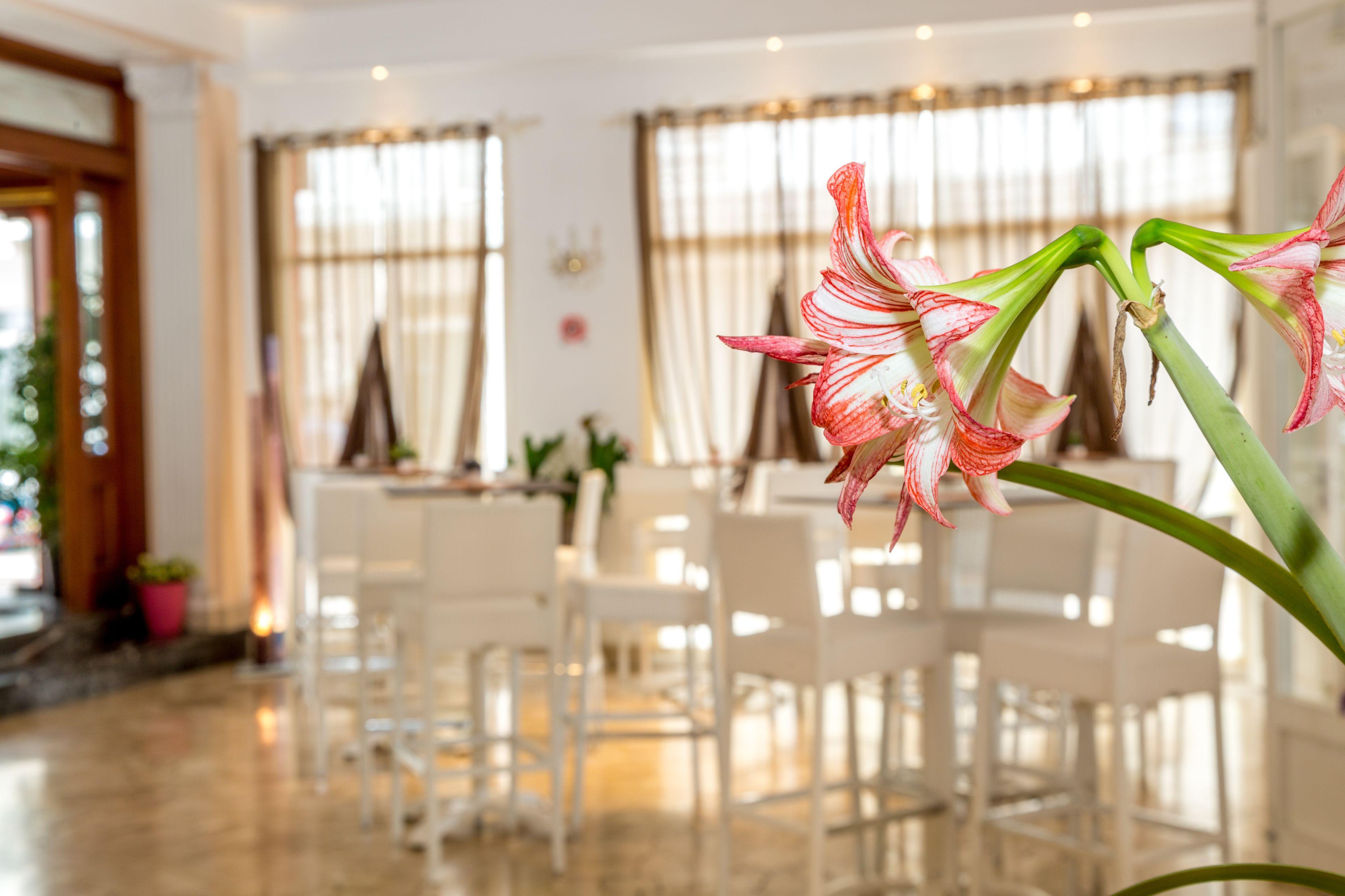 Smeraldo Hotel Lido di Jesolo